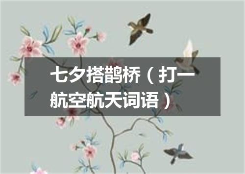 七夕搭鹊桥（打一航空航天词语）