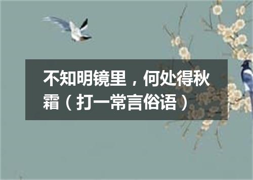 不知明镜里，何处得秋霜（打一常言俗语）