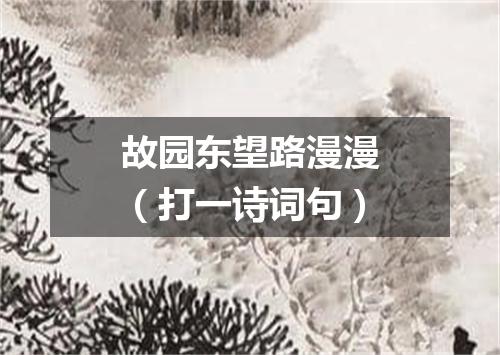 故园东望路漫漫（打一诗词句）