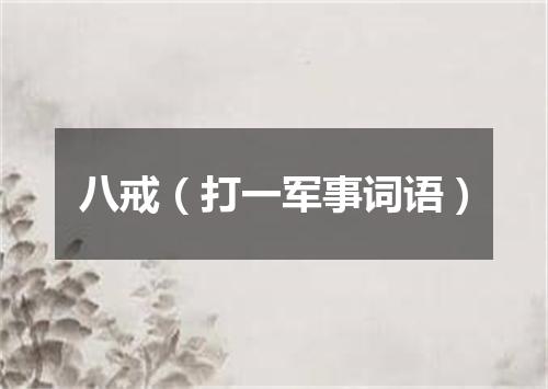 八戒（打一军事词语）