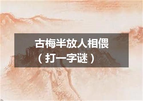 古梅半放人相偎（打一字谜）