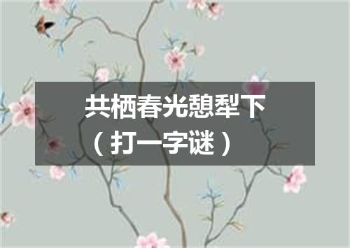 共栖春光憩犁下（打一字谜）