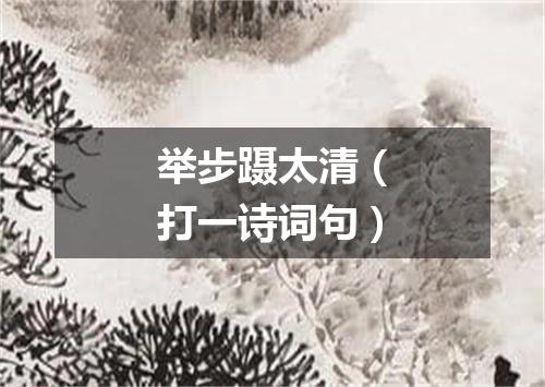 举步蹑太清（打一诗词句）
