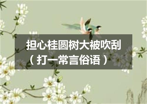 担心桂圆树大被吹刮（打一常言俗语）