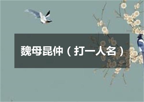 魏母昆仲（打一人名）