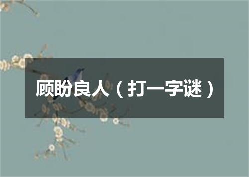 顾盼良人（打一字谜）