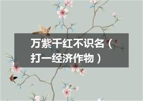 万紫千红不识名（打一经济作物）