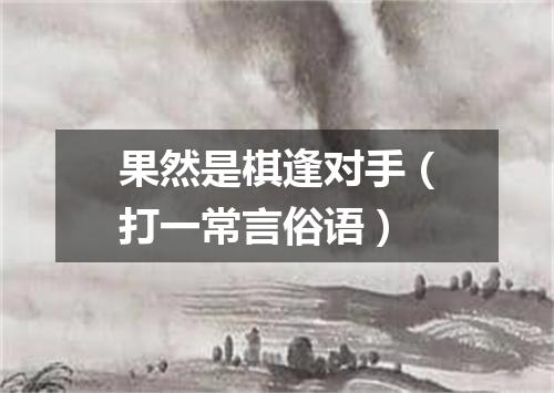 果然是棋逢对手（打一常言俗语）