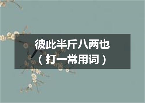 彼此半斤八两也（打一常用词）