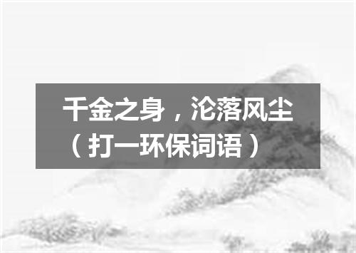 千金之身，沦落风尘（打一环保词语）