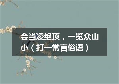会当凌绝顶，一览众山小（打一常言俗语）