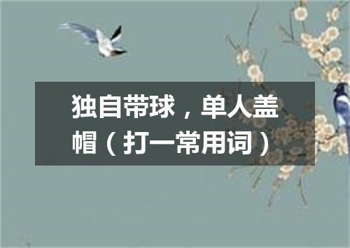 独自带球，单人盖帽（打一常用词）