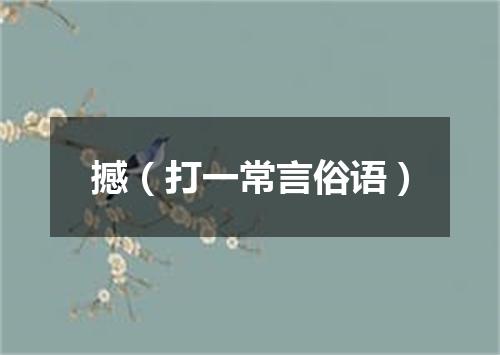 撼（打一常言俗语）