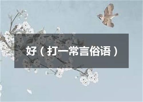 好（打一常言俗语）