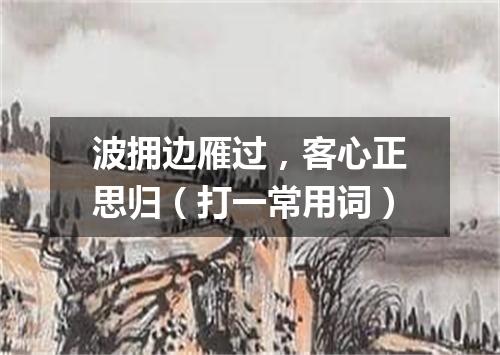波拥边雁过，客心正思归（打一常用词）