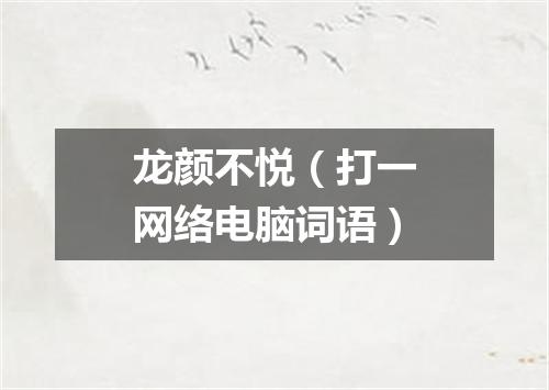 龙颜不悦（打一网络电脑词语）