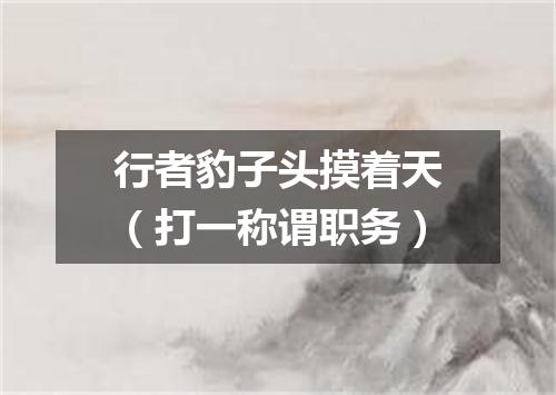 行者豹子头摸着天（打一称谓职务）