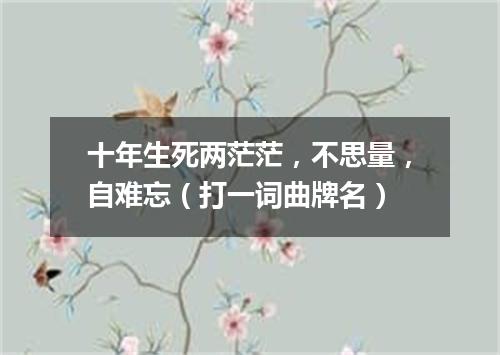 十年生死两茫茫，不思量，自难忘（打一词曲牌名）