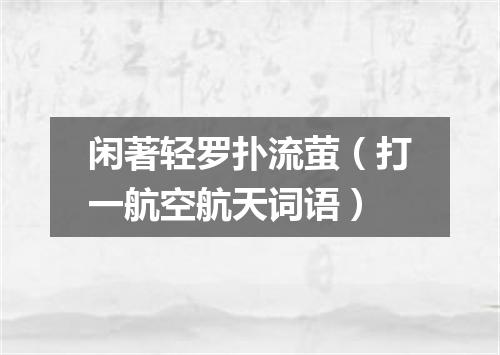 闲著轻罗扑流萤（打一航空航天词语）