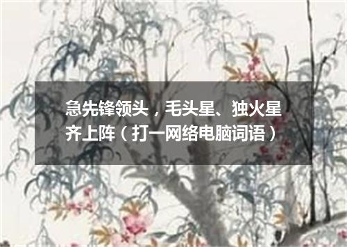 急先锋领头，毛头星、独火星齐上阵（打一网络电脑词语）
