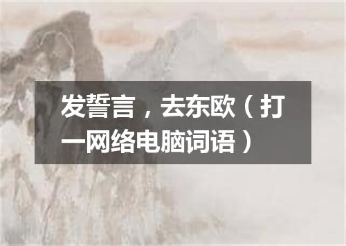 发誓言，去东欧（打一网络电脑词语）
