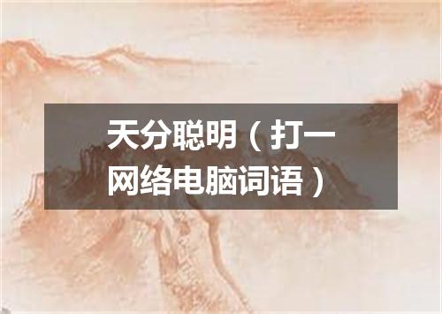 天分聪明（打一网络电脑词语）