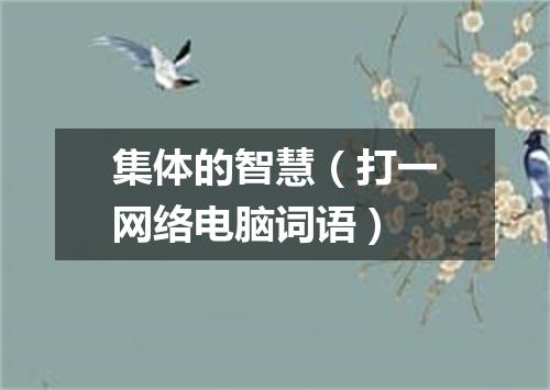 集体的智慧（打一网络电脑词语）