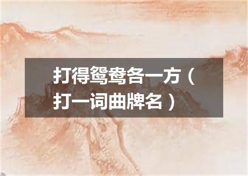 打得鸳鸯各一方（打一词曲牌名）