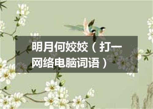 明月何姣姣（打一网络电脑词语）