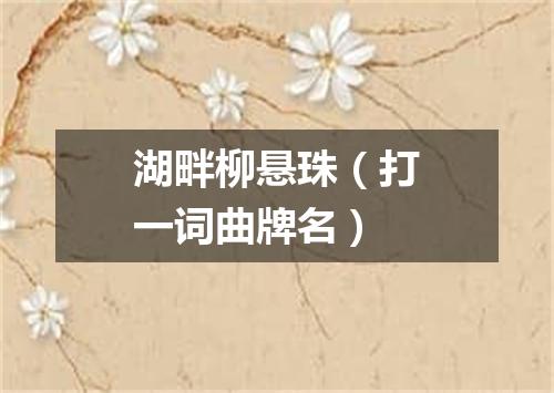 湖畔柳悬珠（打一词曲牌名）