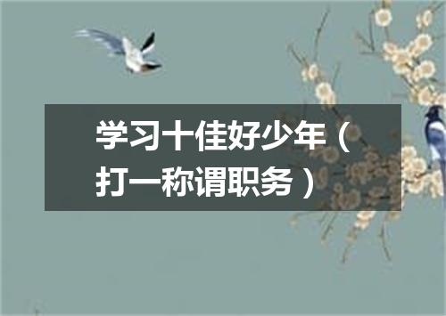 学习十佳好少年（打一称谓职务）