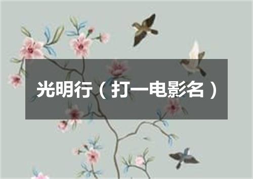 光明行（打一电影名）