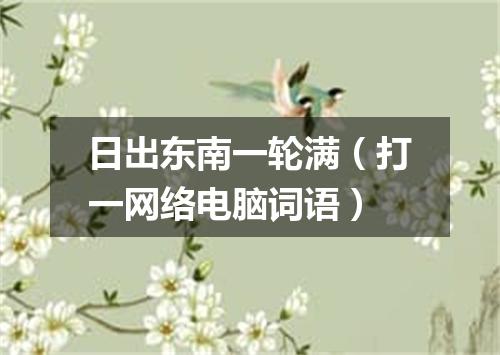 日出东南一轮满（打一网络电脑词语）