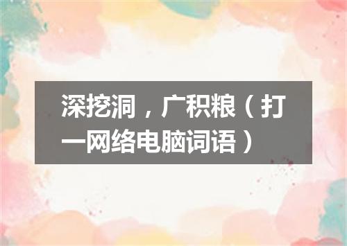 深挖洞，广积粮（打一网络电脑词语）