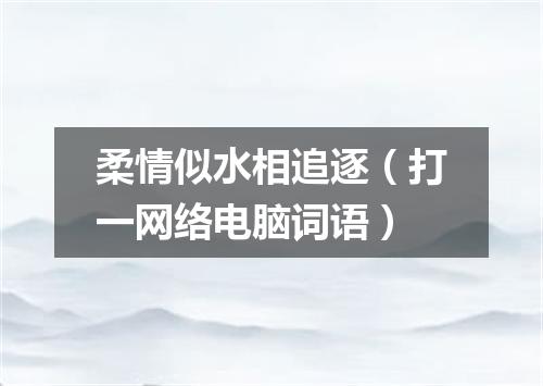 柔情似水相追逐（打一网络电脑词语）