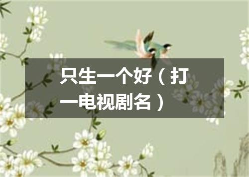 只生一个好（打一电视剧名）