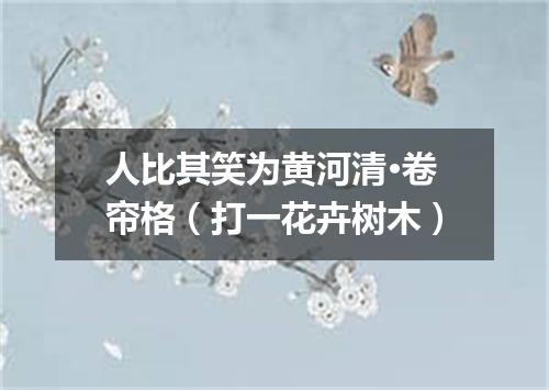 人比其笑为黄河清·卷帘格（打一花卉树木）