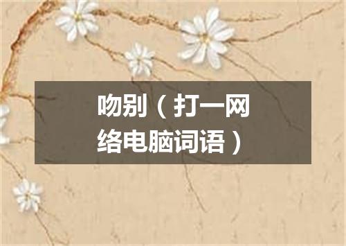 吻别（打一网络电脑词语）