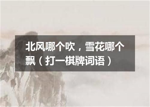北风哪个吹，雪花哪个飘（打一棋牌词语）