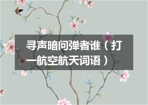 寻声暗问弹者谁（打一航空航天词语）