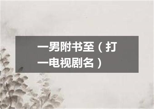 一男附书至（打一电视剧名）
