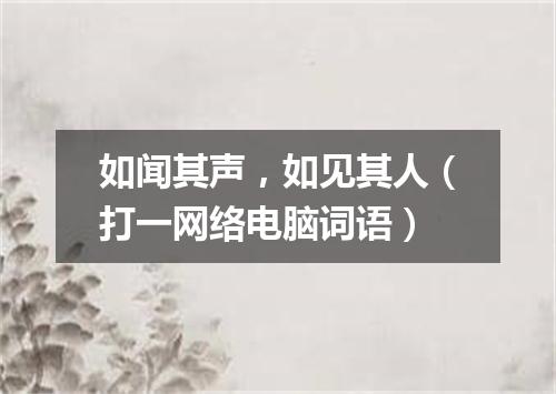 如闻其声，如见其人（打一网络电脑词语）