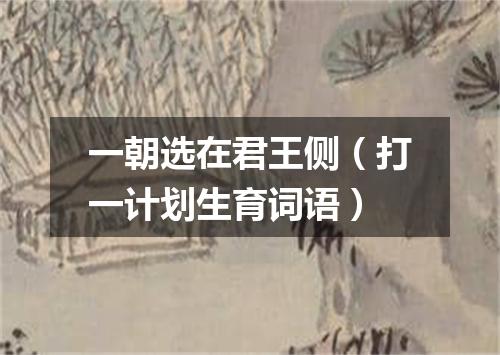 一朝选在君王侧（打一计划生育词语）