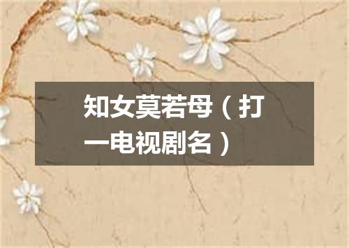 知女莫若母（打一电视剧名）