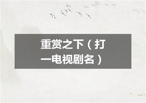 重赏之下（打一电视剧名）