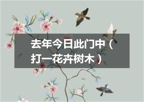 去年今日此门中（打一花卉树木）