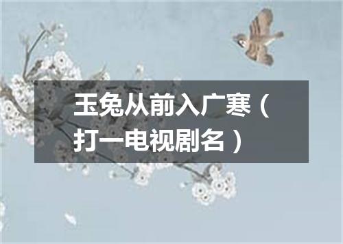 玉兔从前入广寒（打一电视剧名）