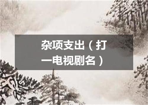 杂项支出（打一电视剧名）