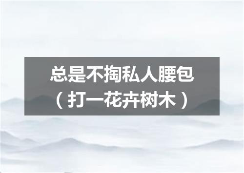 总是不掏私人腰包（打一花卉树木）