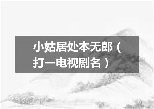 小姑居处本无郎（打一电视剧名）